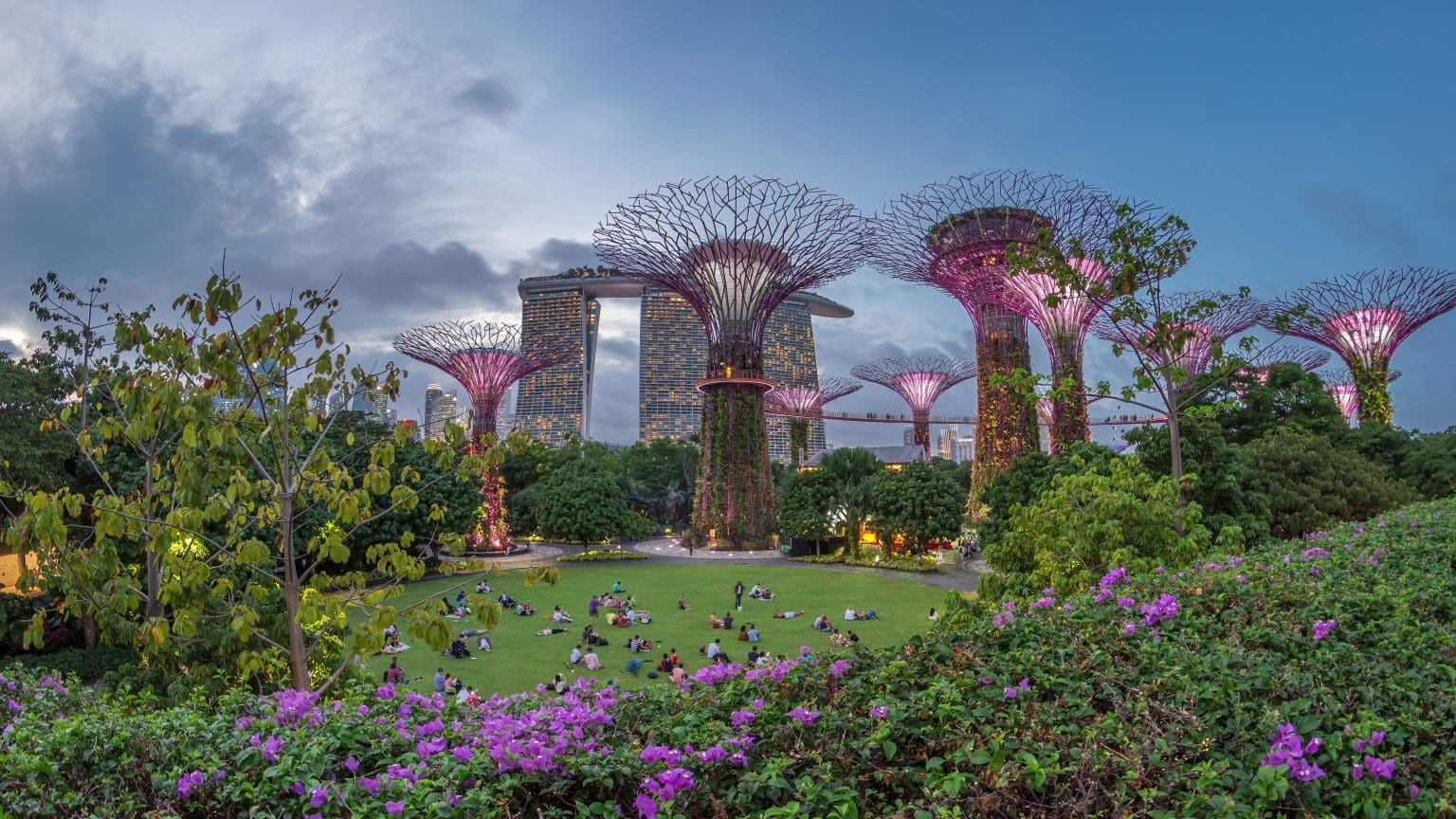 Futuristic,Aerial,View,Of,Illumination,At,Garden,By,The,Bay